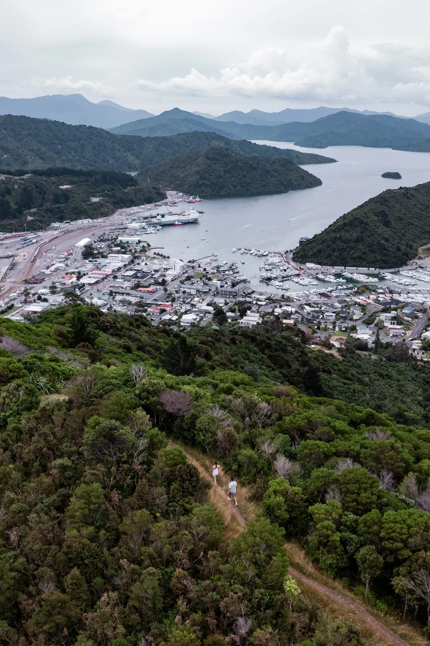 Tirohanga Track