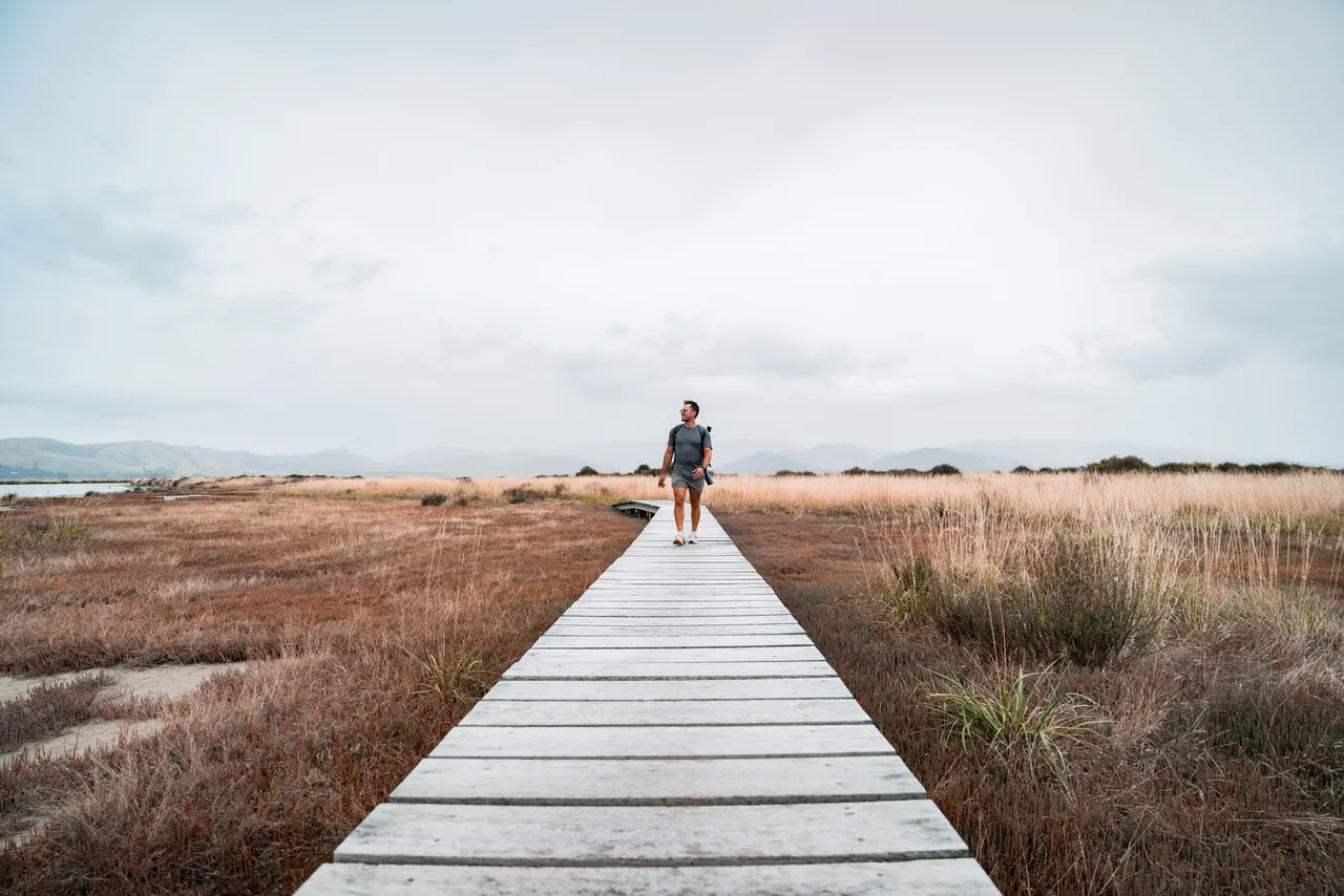 Wairau Lagoons