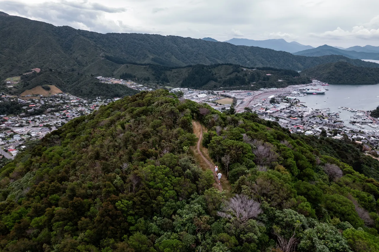 Tirohanga Track