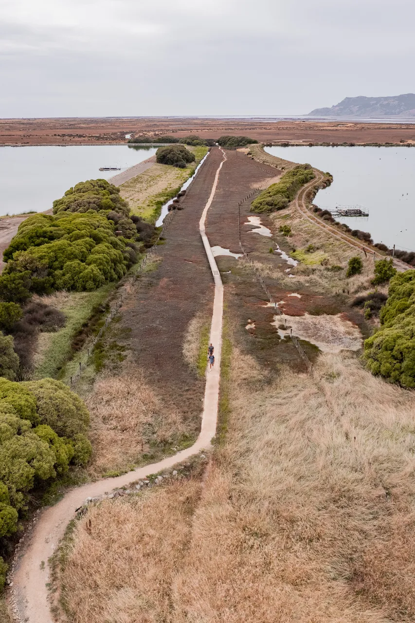 Wairau Lagoons