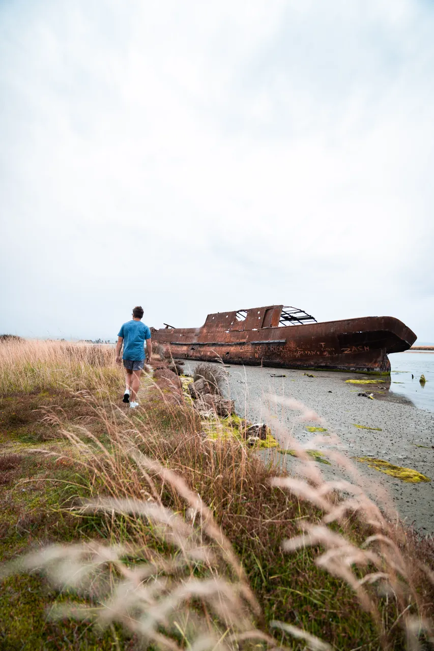 Wairau Lagoons