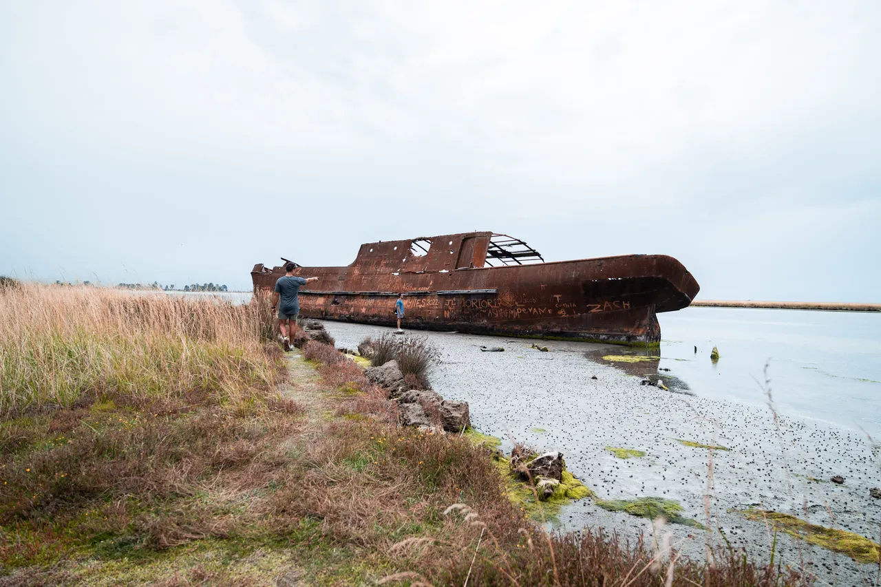 Wairau Lagoons