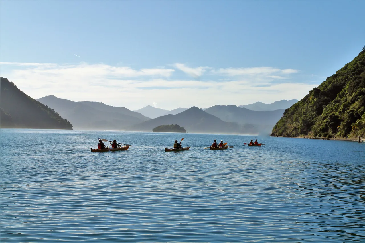 Wilderness Guides Kayaking