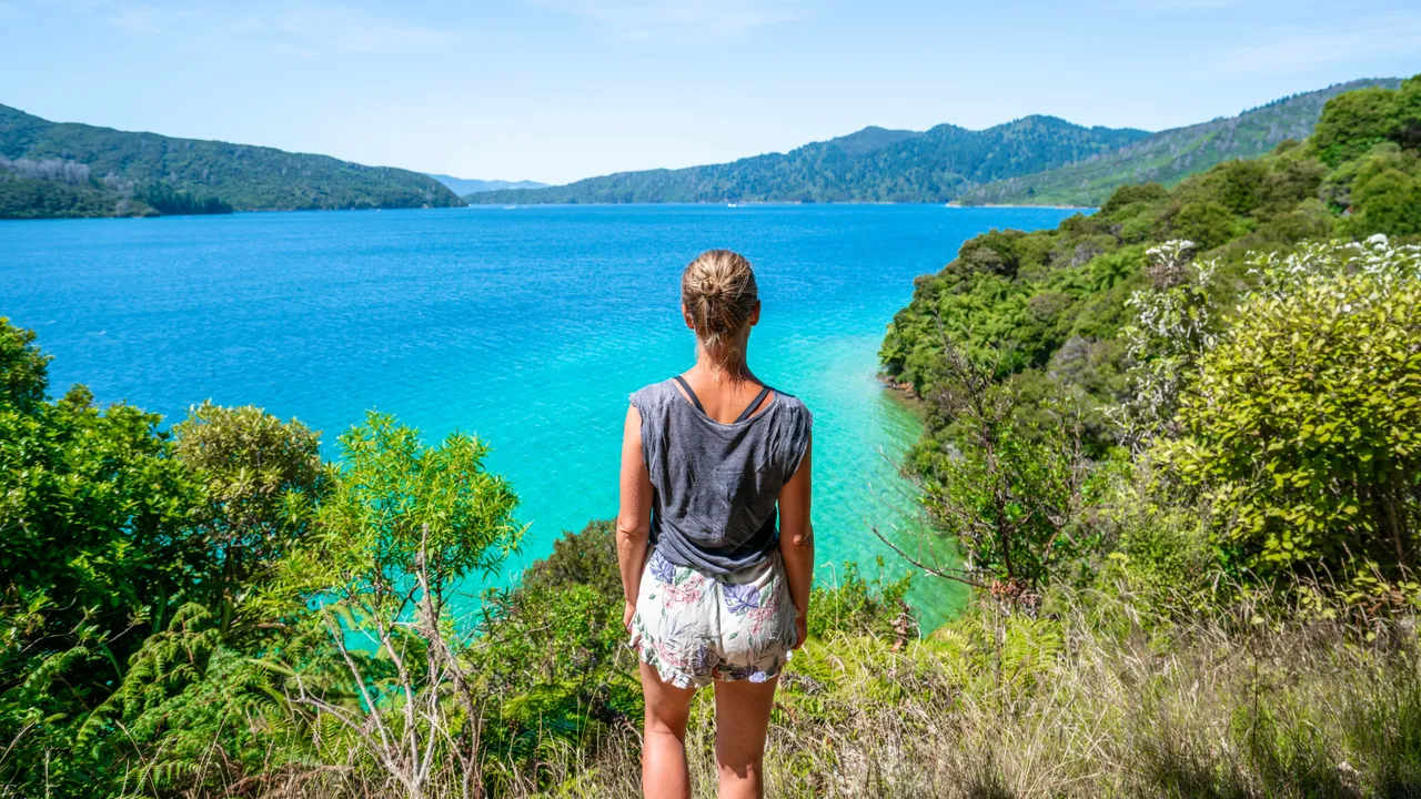 Marlborough Tour Company - Endeavour Inlet