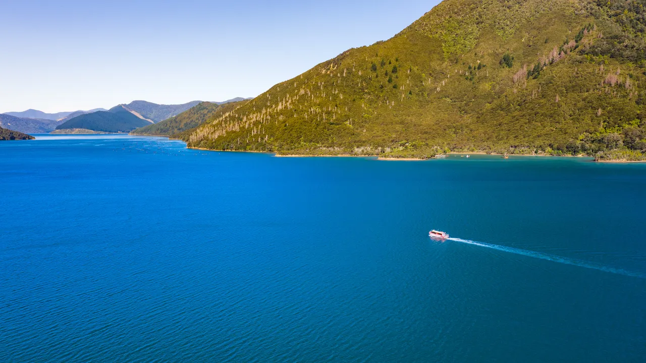 Nydia Bay