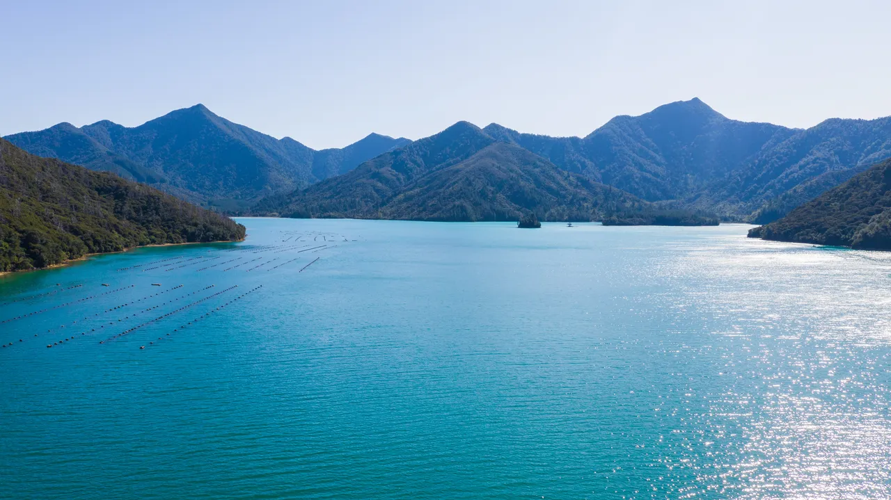 Nydia Bay