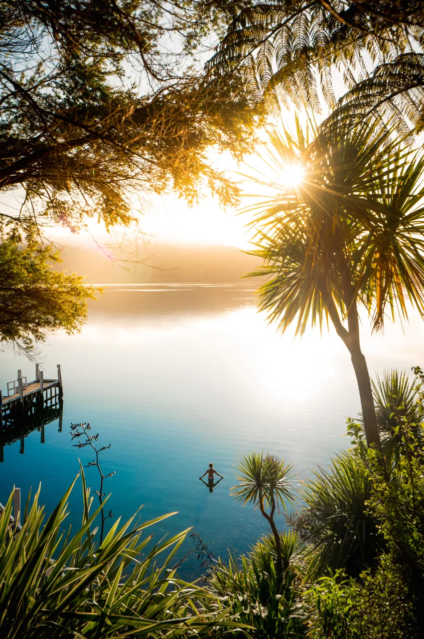 Bay of Many Coves