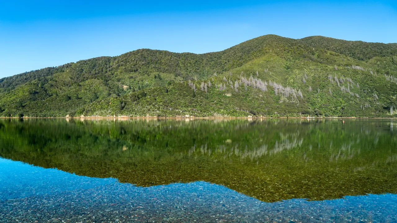 Marlborough Tour Company - Endeavour Inlet