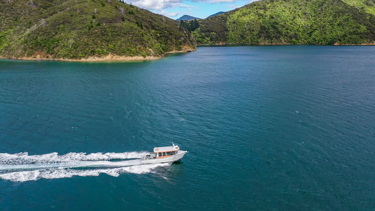 Beachcomber Cruises
