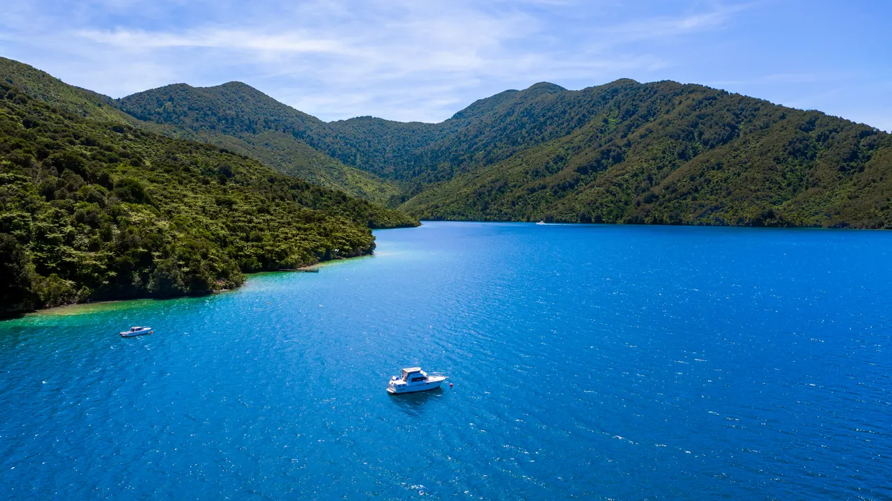 Marlborough Tour Company - Endeavour Inlet