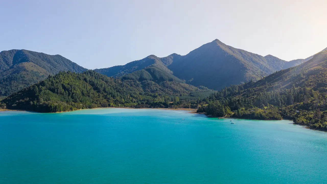 Nydia Bay