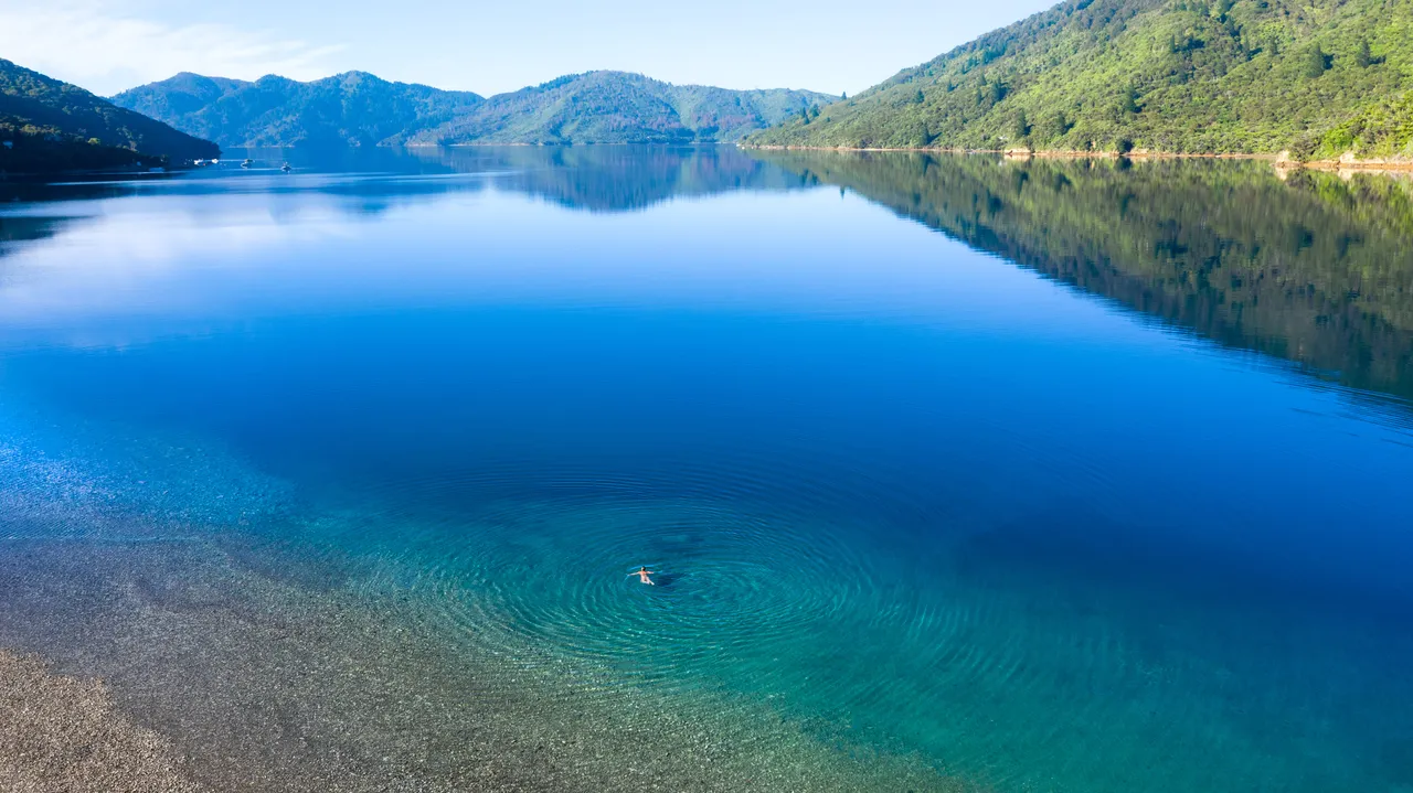 Marlborough Tour Company - Endeavour Inlet