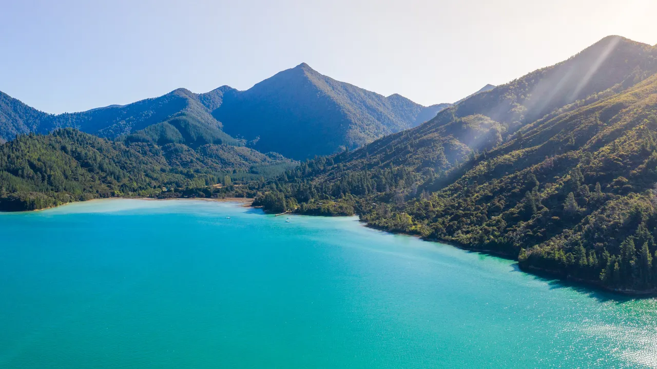 Nydia Bay