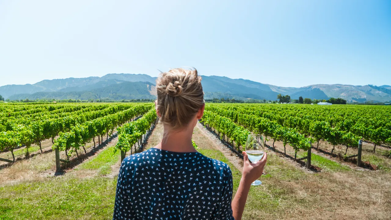 The Vines Village