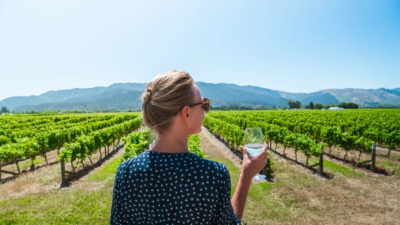 The Vines Village