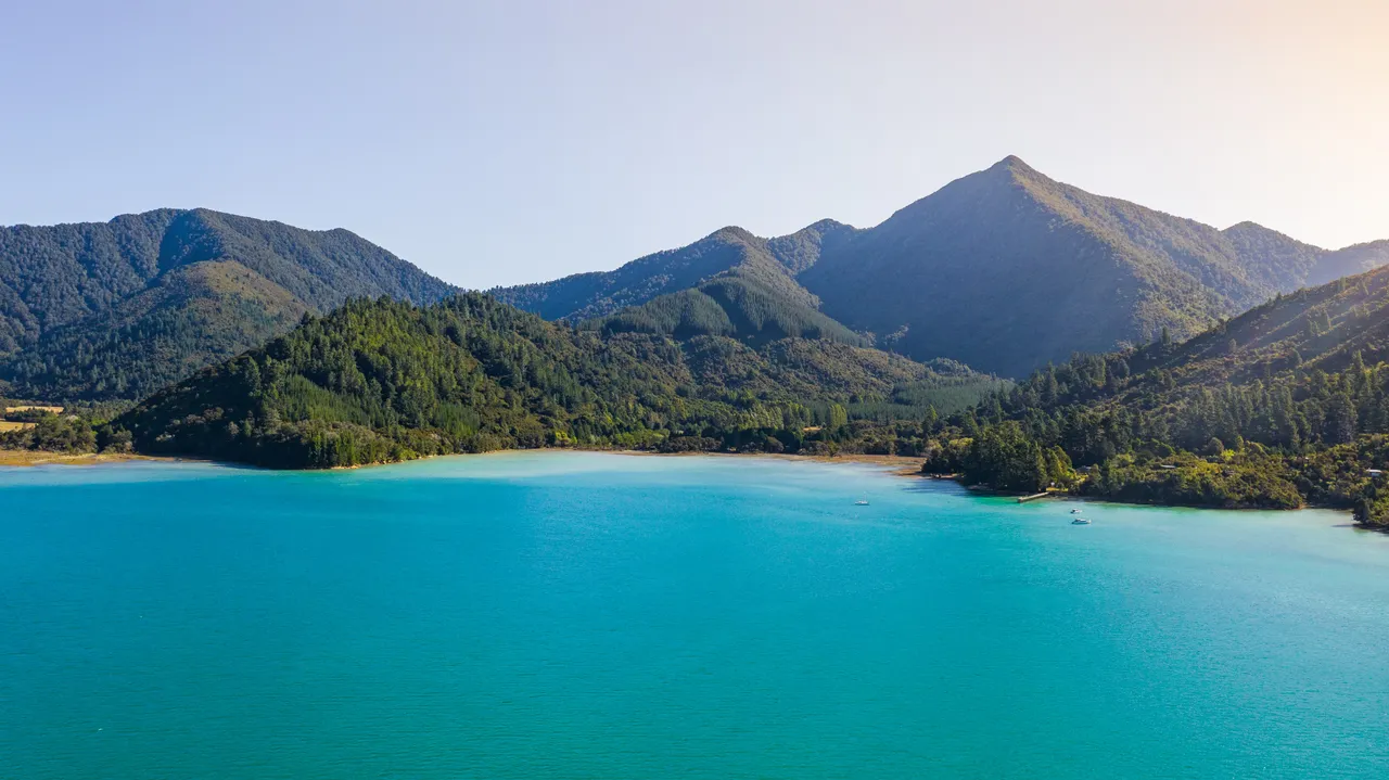 Nydia Bay