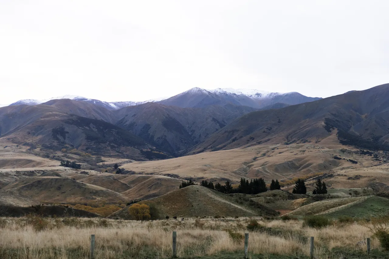 Mountain biking South Marlborough