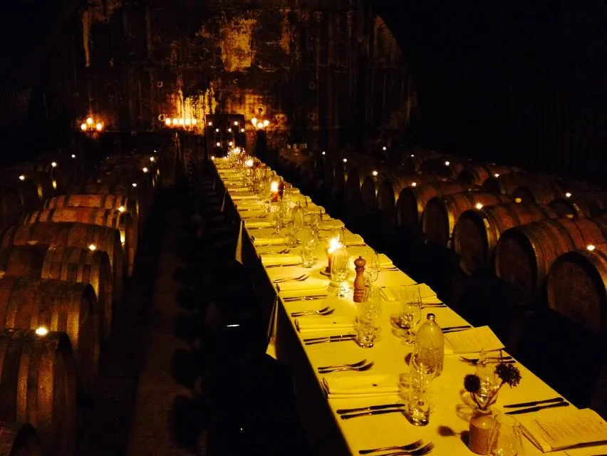 Mahi Wines