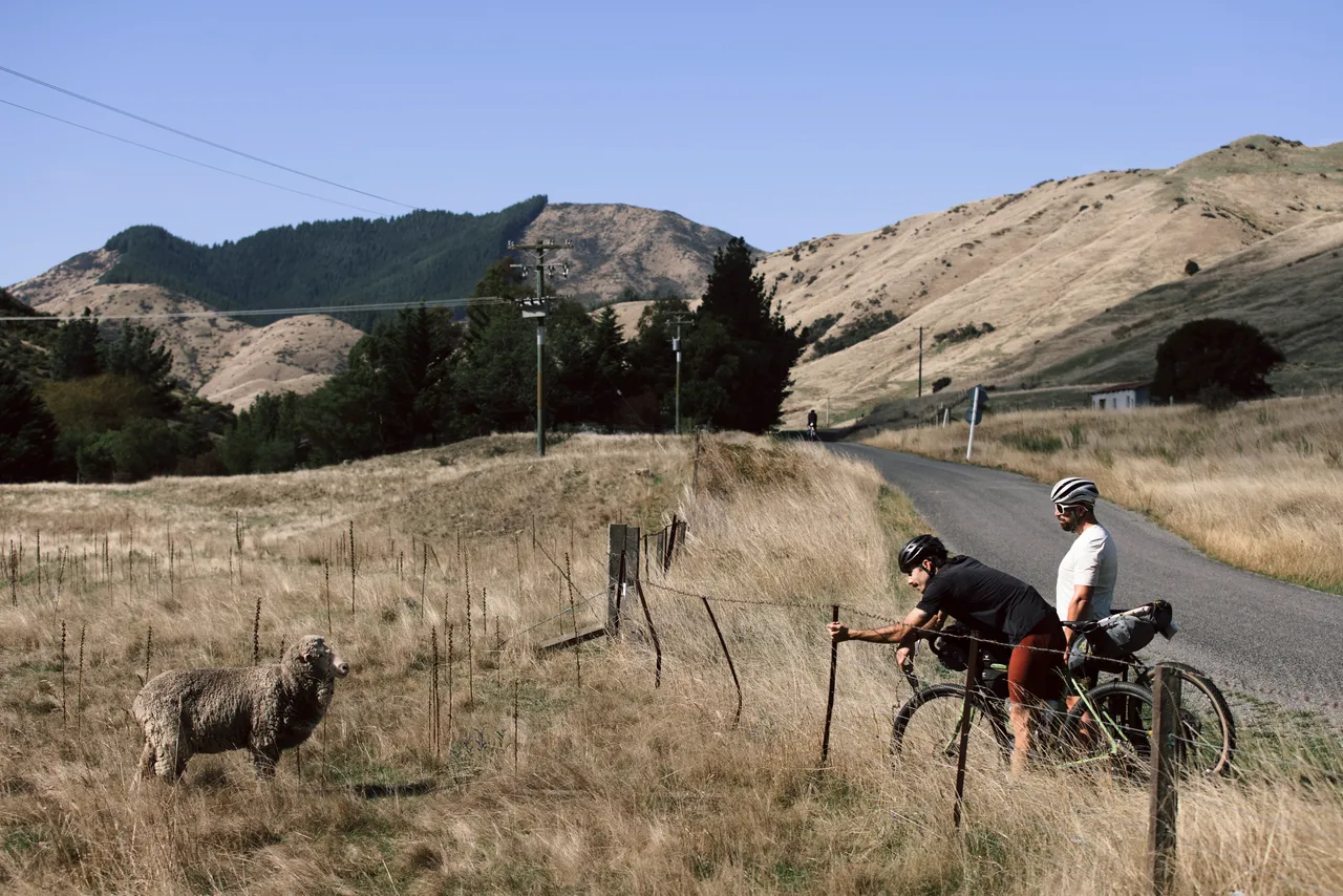 Mountain biking South Marlborough