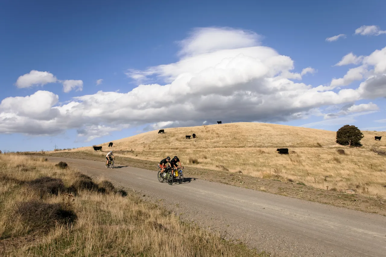 Mountain biking South Marlborough
