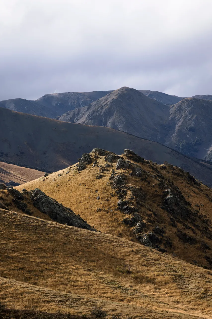 Mountain biking South Marlborough