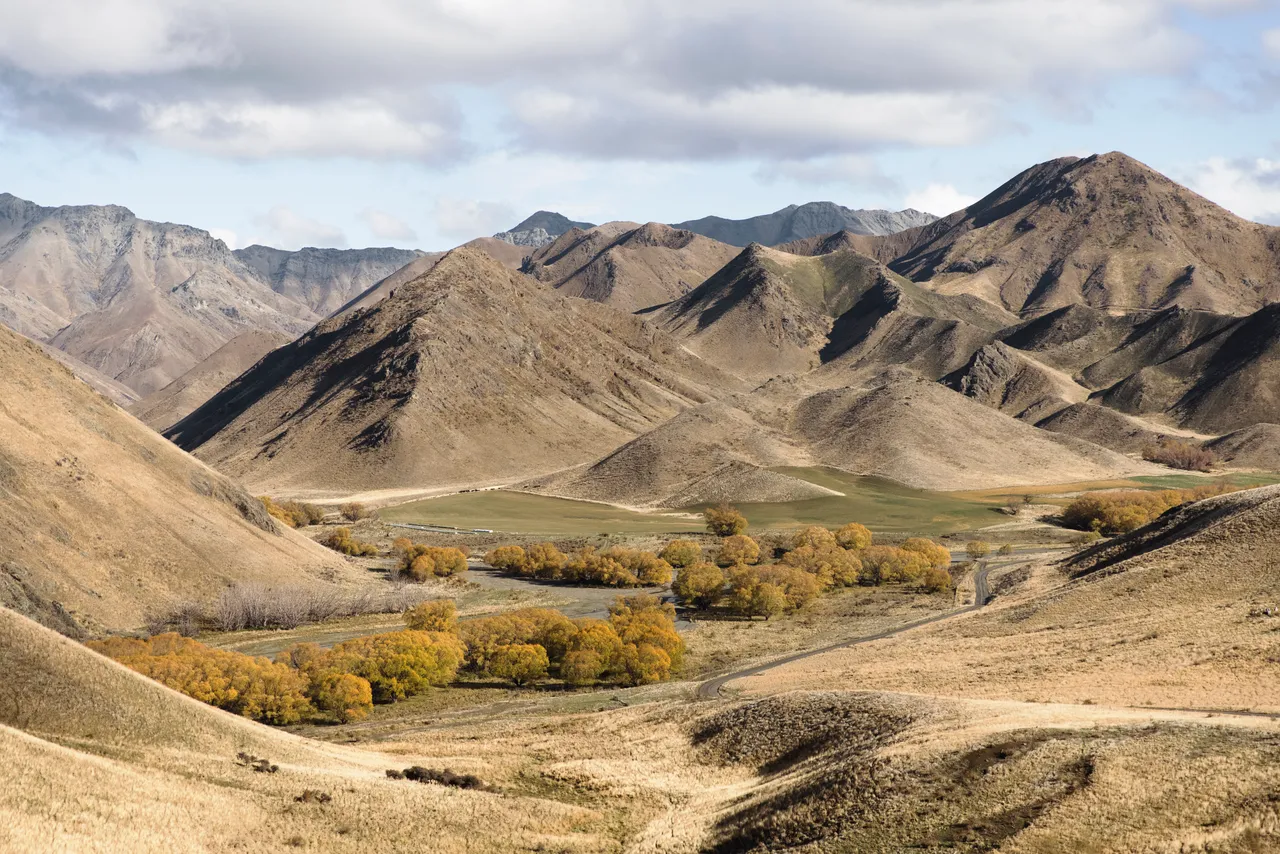 Mountain biking South Marlborough