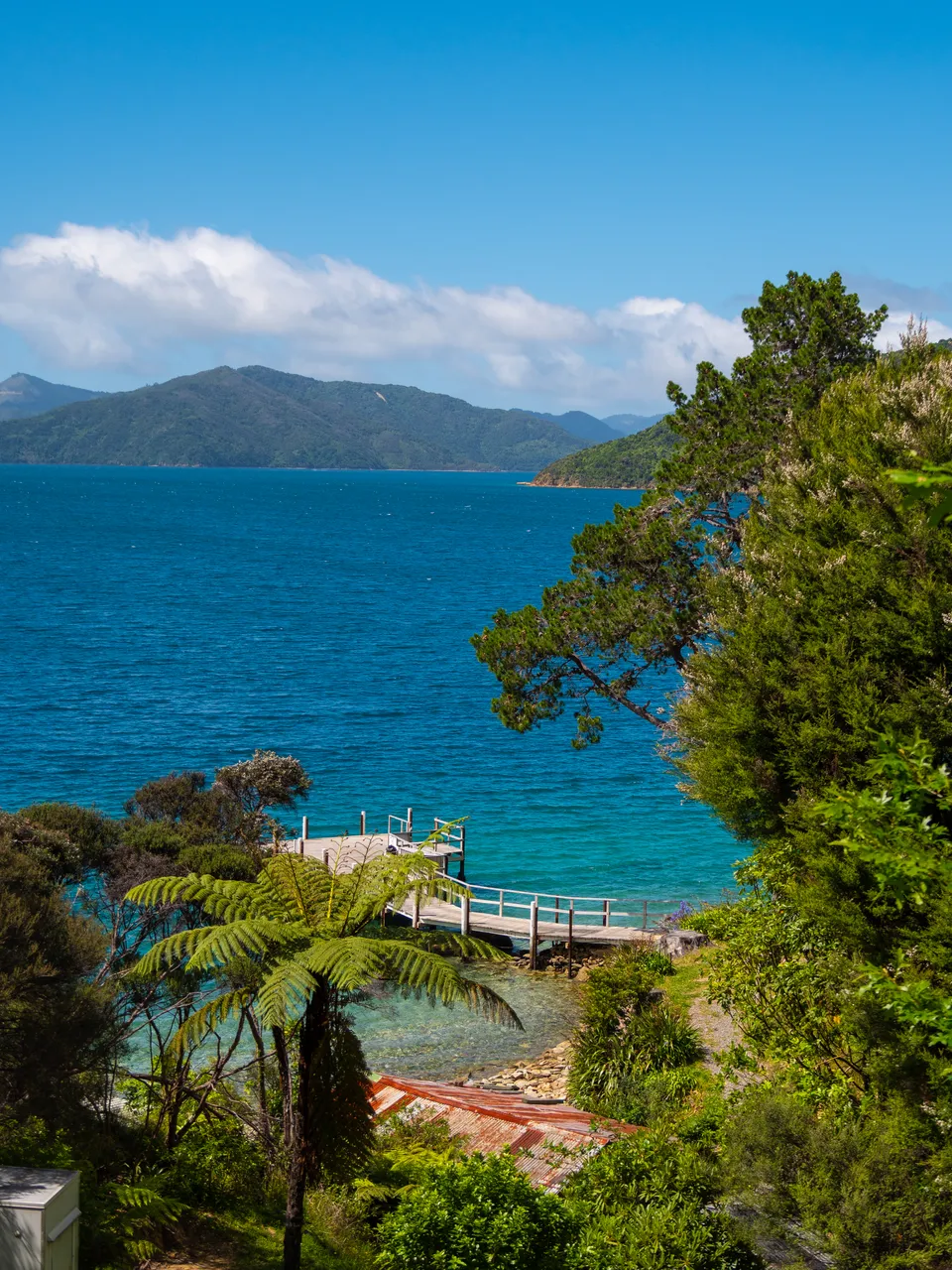 The Queen Charlotte Track