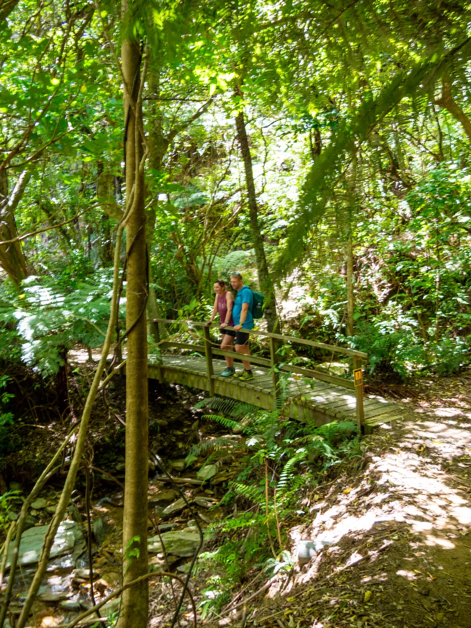 The Queen Charlotte Track