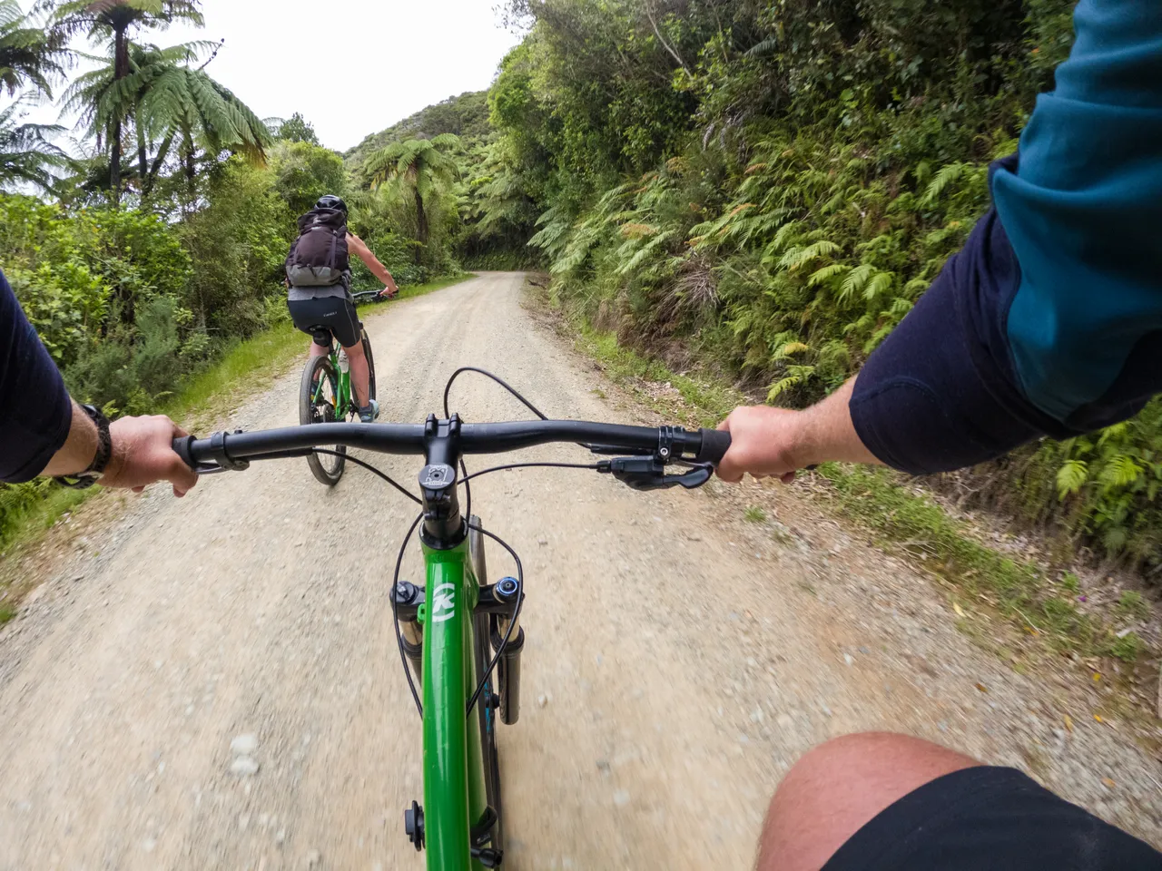 Biking the Queen Charlotte Track