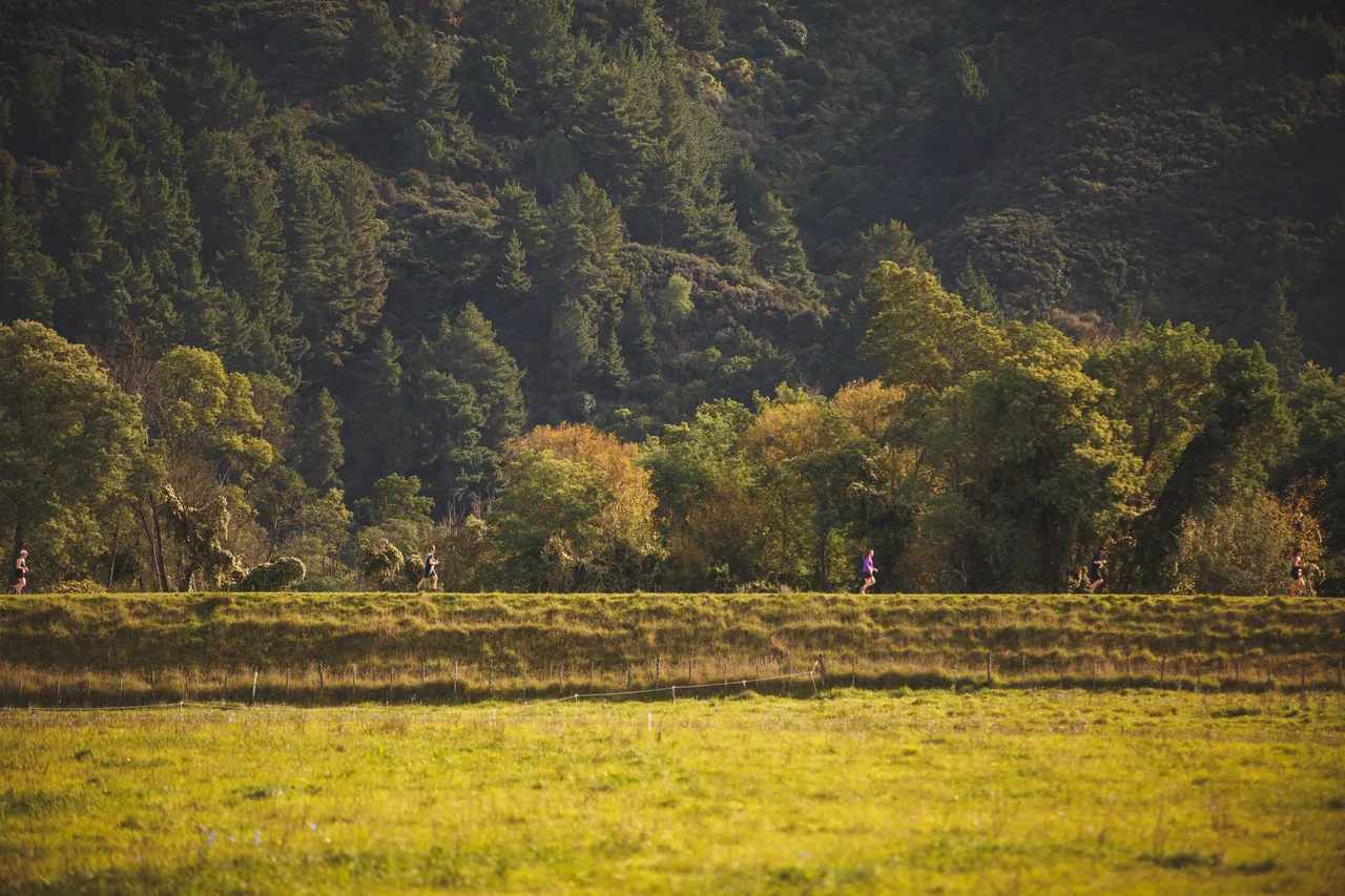 Saint Clair Vineyard Half