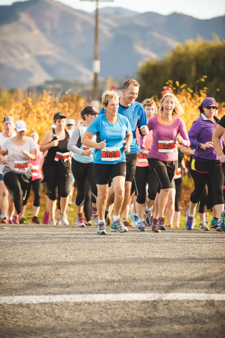 Saint Clair Vineyard Half