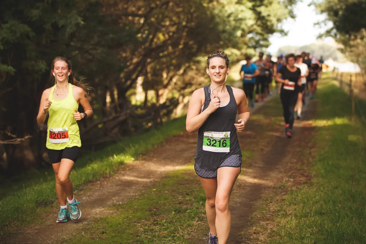 Saint Clair Vineyard Half