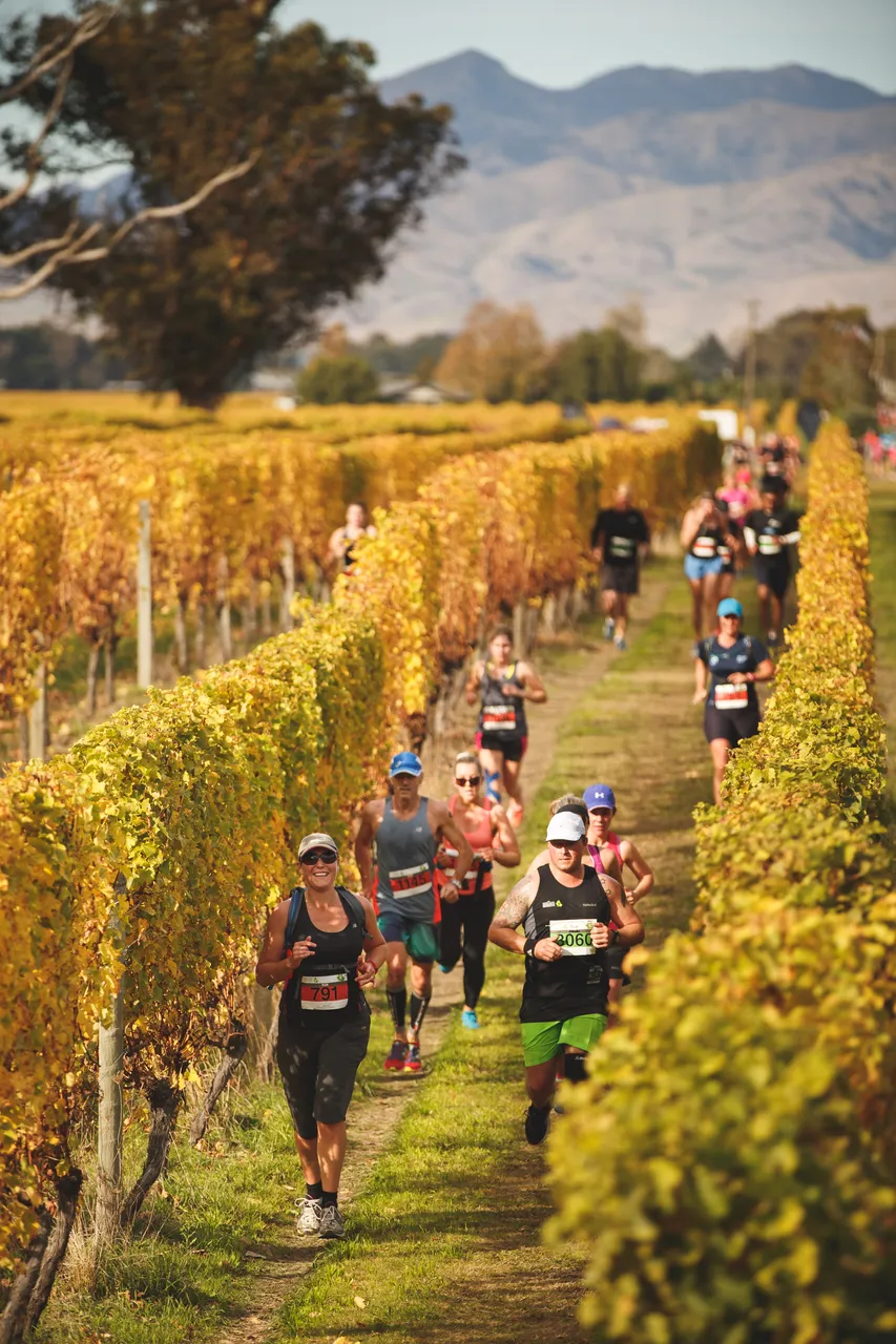 Saint Clair Vineyard Half