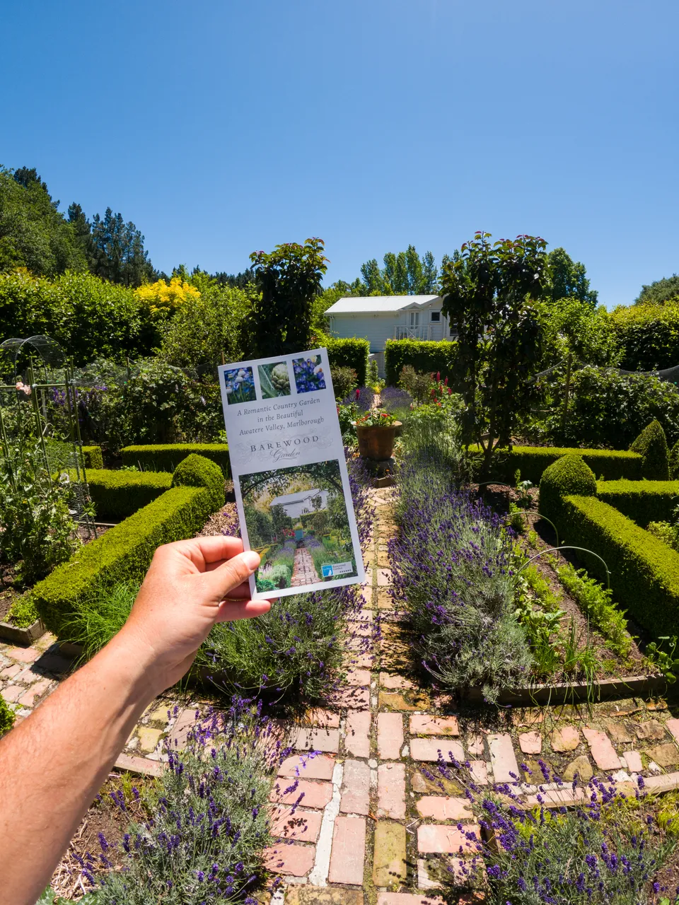 Barewood Garden