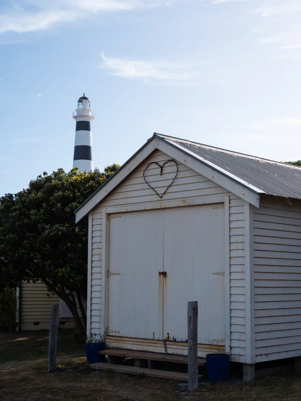 Cape Campbell