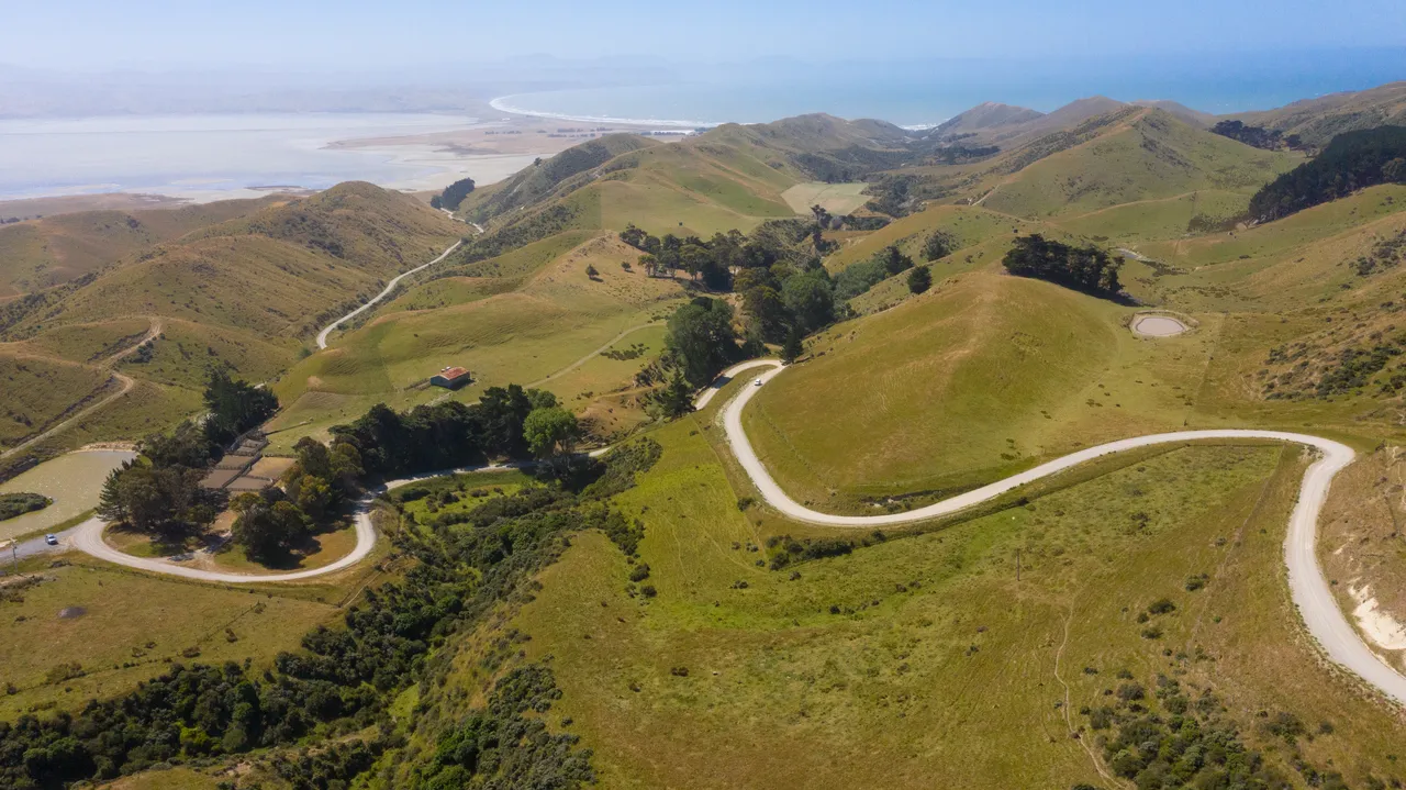Cape Campbell