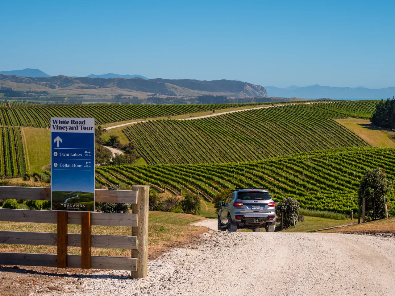 White Road Tour at Yealands Winery
