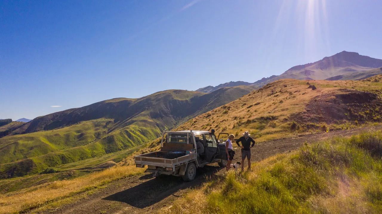 Middlehurst Station - Molesworth
