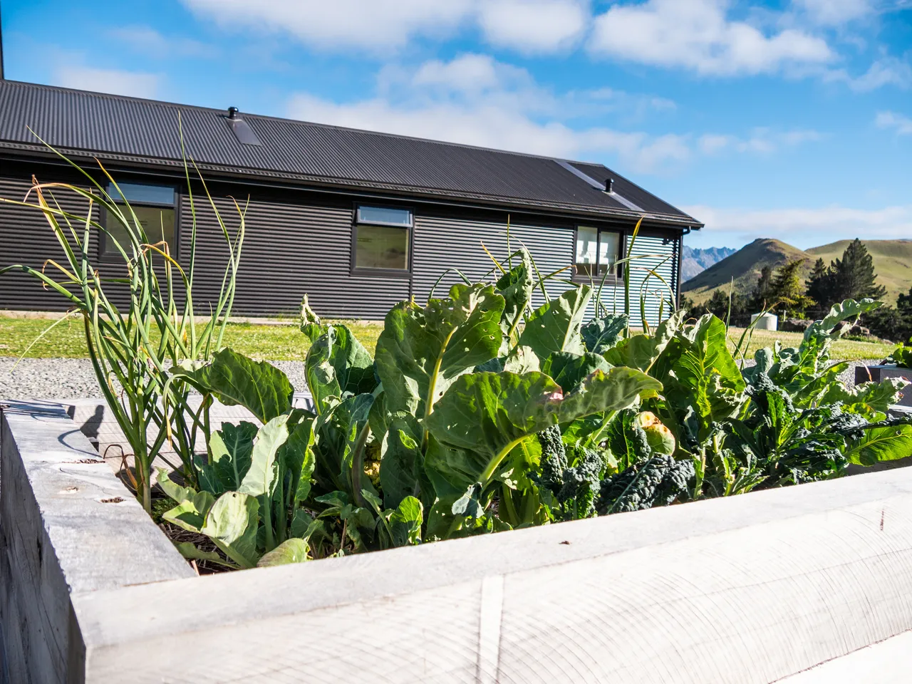 Middlehurst Station - Molesworth