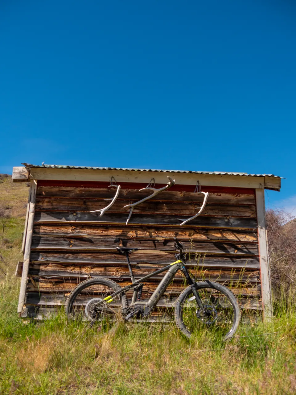 Middlehurst Station - Molesworth