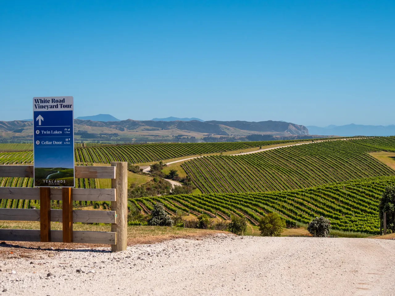 White Road Tour at Yealands Winery
