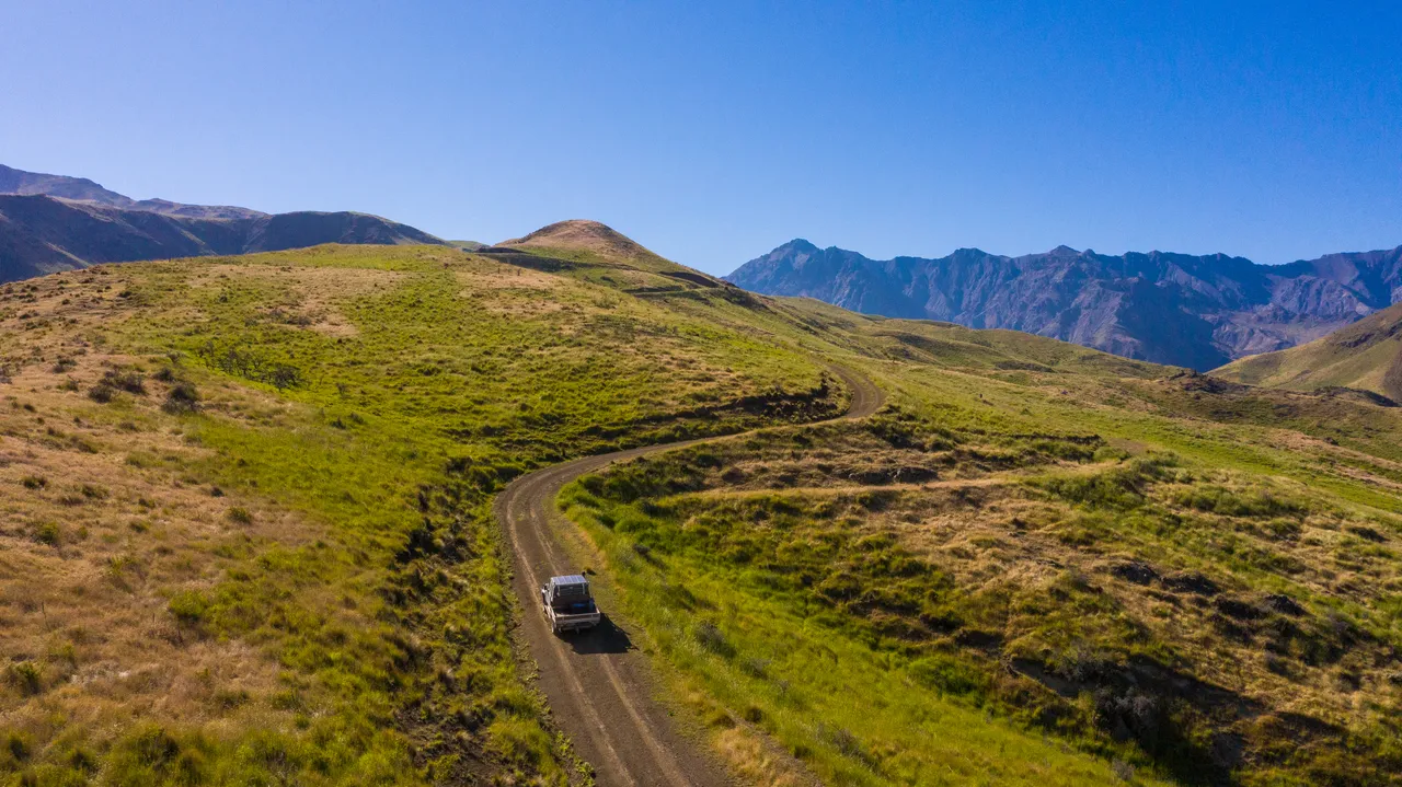 Middlehurst Station - Molesworth