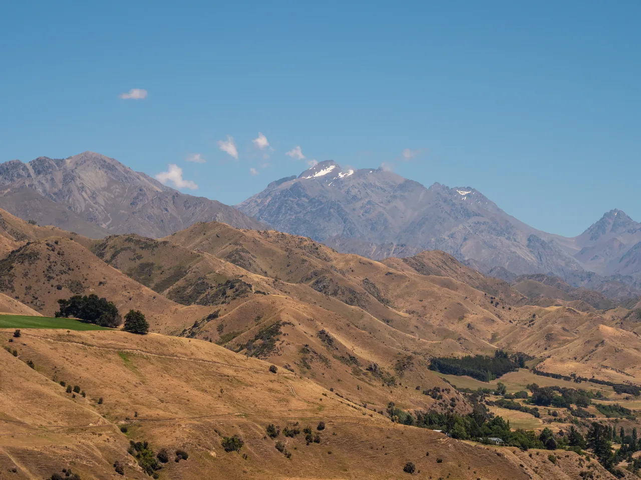 Middlehurst Station - Molesworth