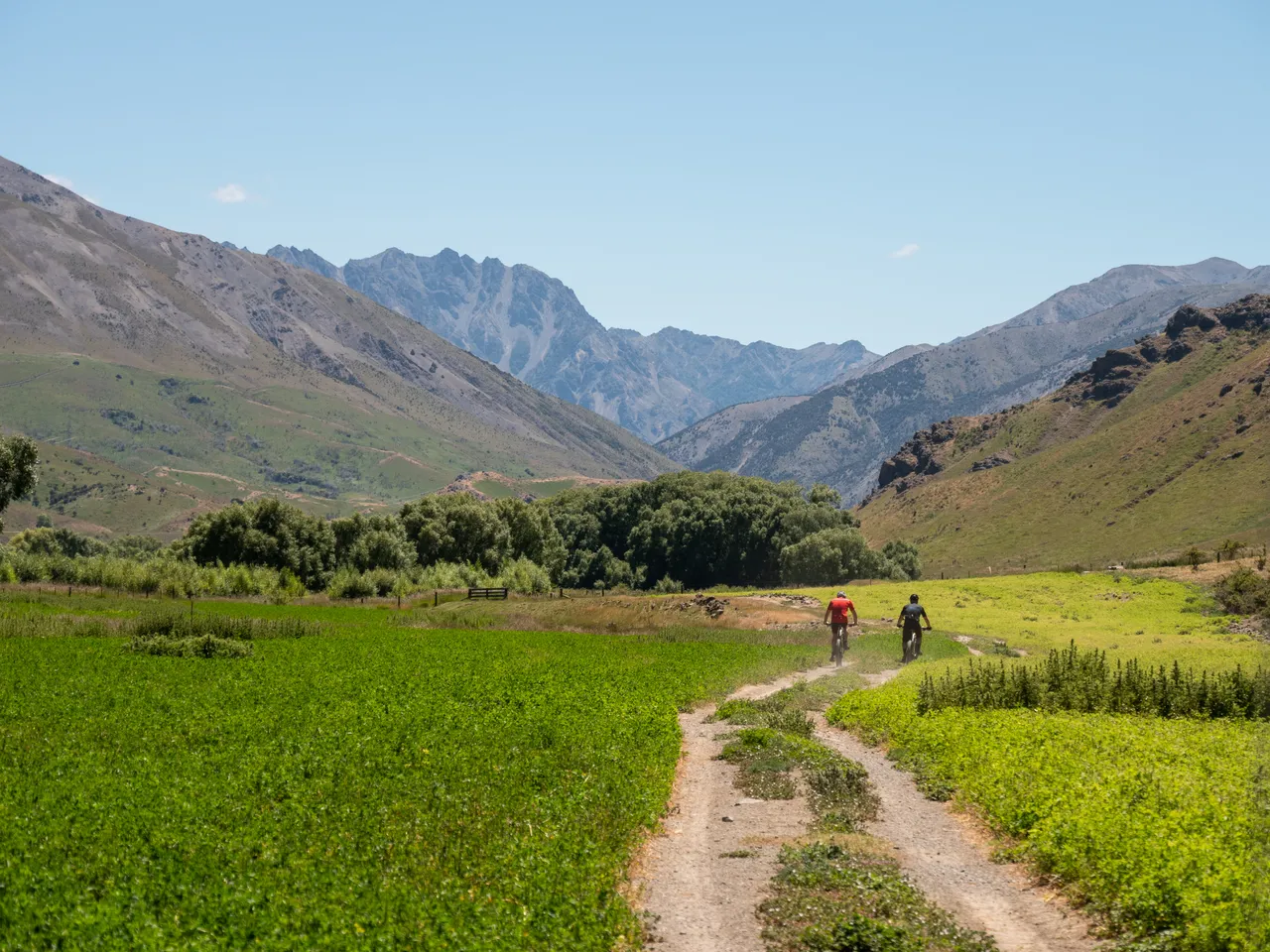 Middlehurst Station - Molesworth