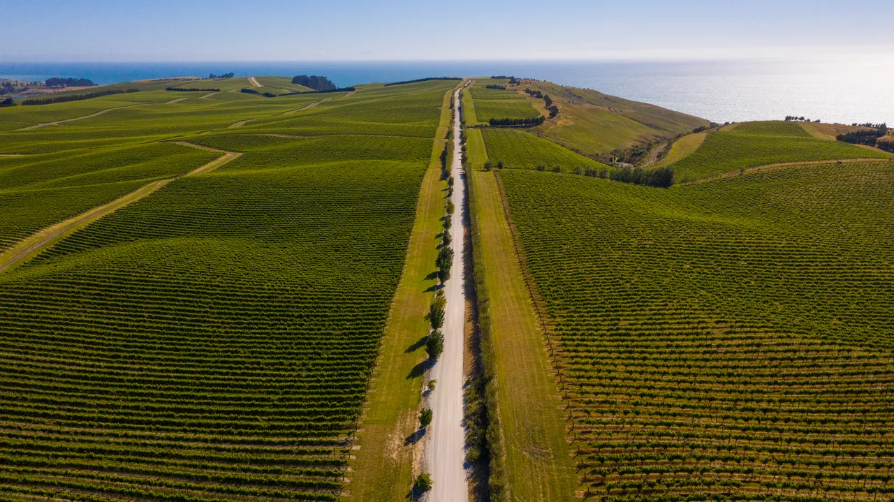 White Road Tour at Yealands Winery