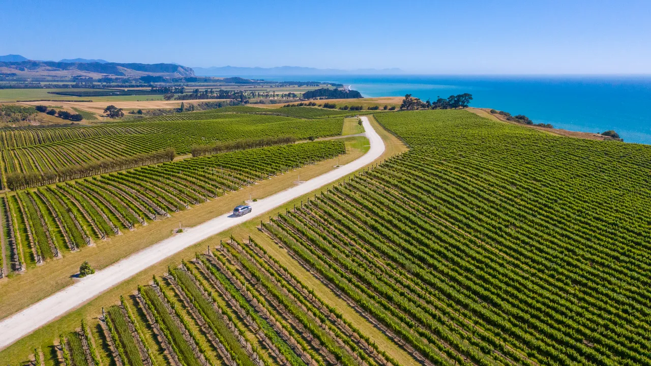 White Road Tour at Yealands Winery
