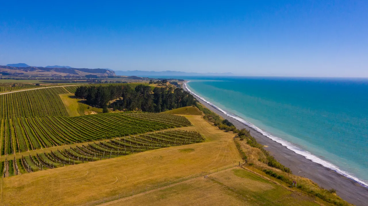 White Road Tour at Yealands Winery