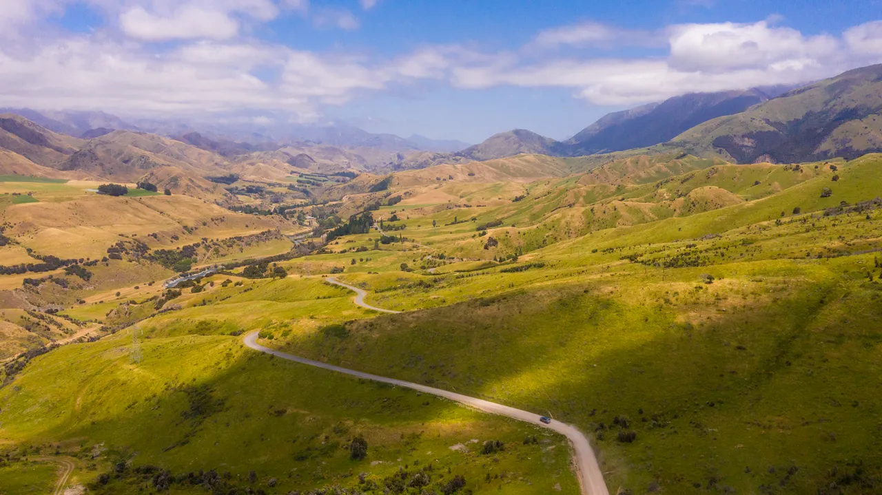 Middlehurst Station - Molesworth