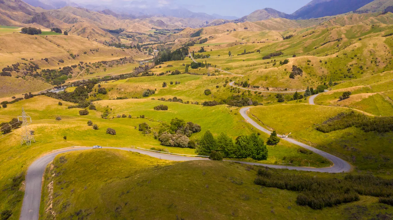 Middlehurst Station - Molesworth