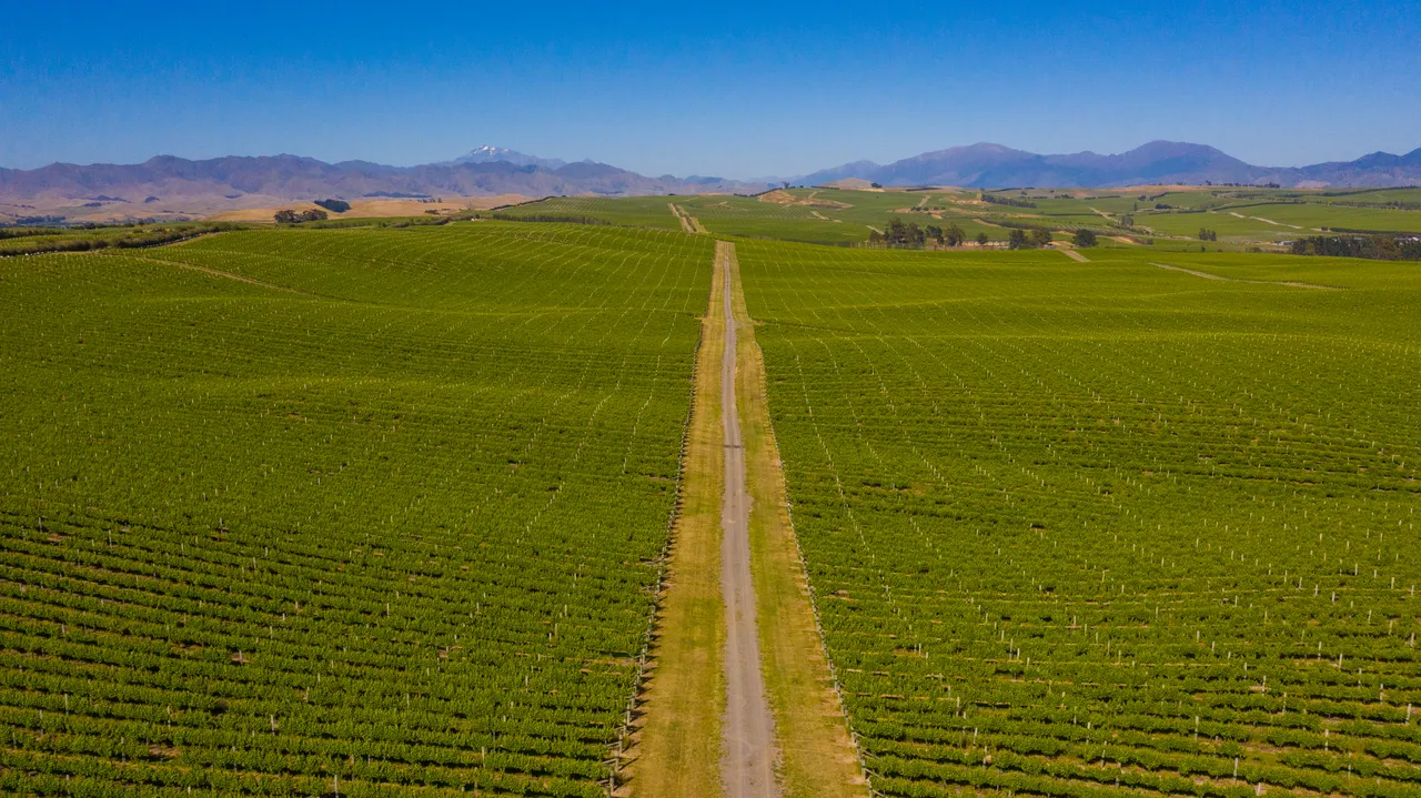 White Road Tour at Yealands Winery